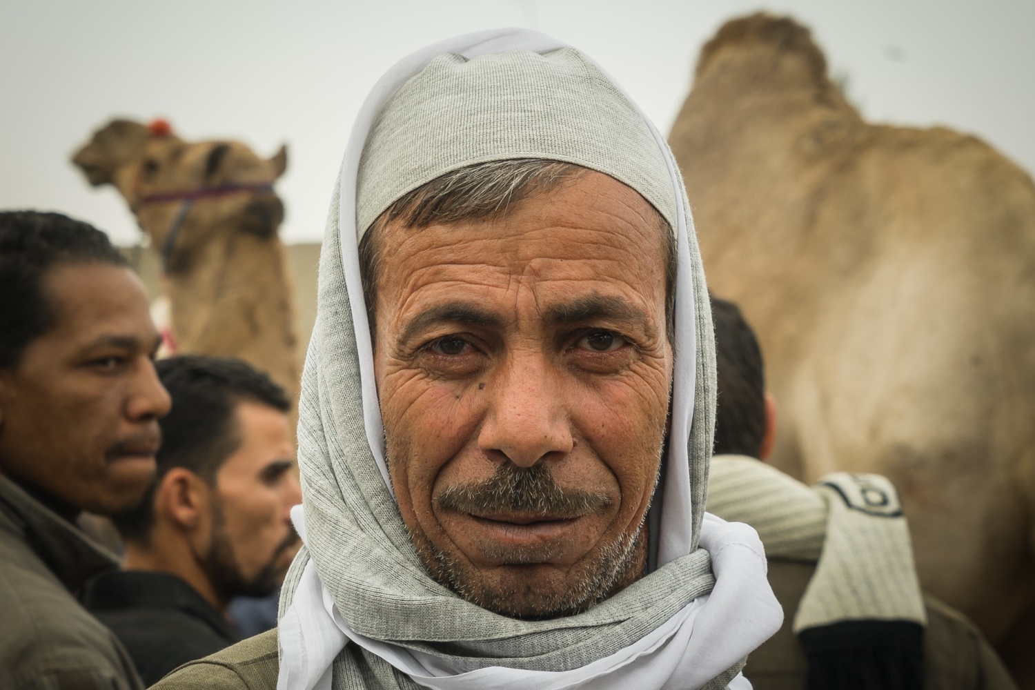 The Agriculture Ministry In Egypt The Borgen Project