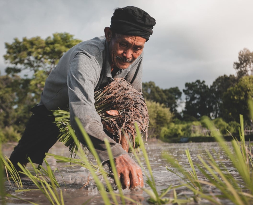 Hunger and Poverty Among Small-Scale Farmers - The Borgen Project