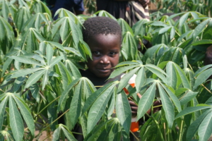 Hunger in the Congo