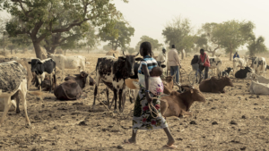 Hunger in Burkina Faso