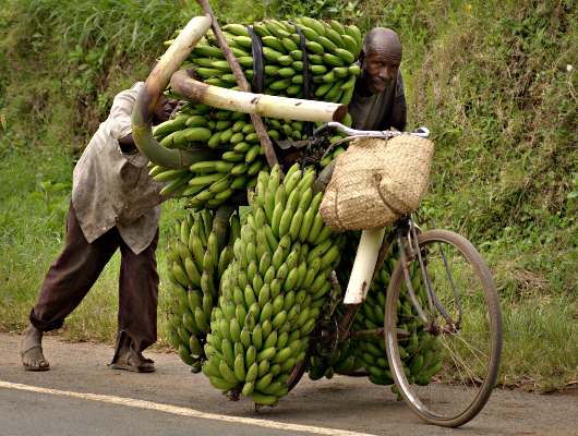 mozambikes