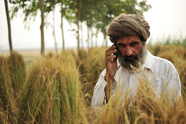 Indian farmers use AI