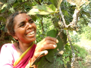 SM Sehgal Foundation