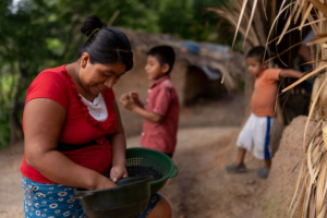 Indigenous Poverty in Guatemala