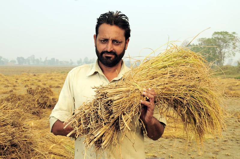 Introducing Zero Buget Natural Farming in India 