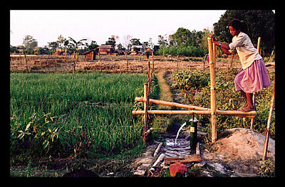Irrigation_Poverty