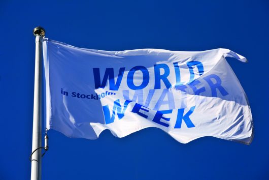 Joan Rose: World Water Week's Champion