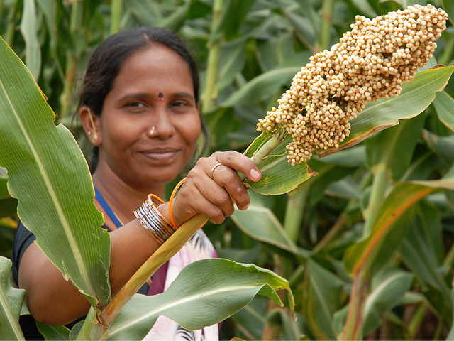 Kellogg Helps Women Smallholder Farmers Globally - The Borgen Project