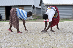 Empowering Women in Kenya