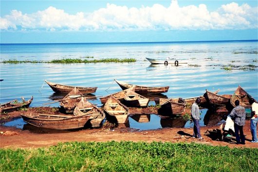 Lake Victoria's Failing State