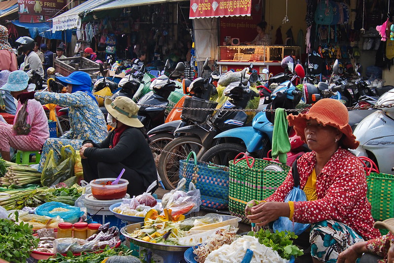 Laos' Economic Crisis
