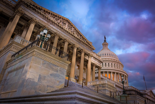 Difference Between House and Senate: American Government