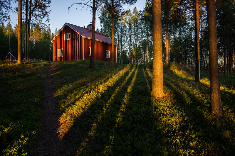 Life Expectancy in Finland