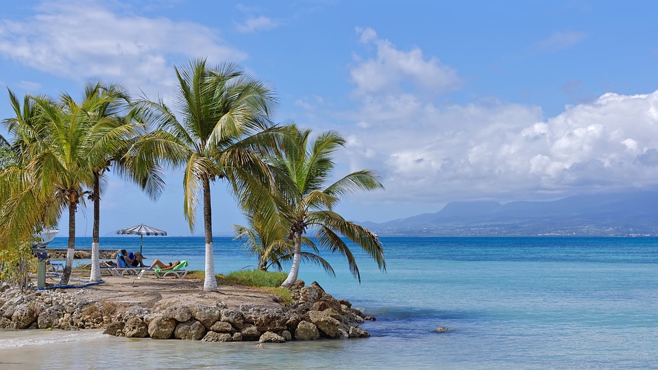 A Return to Guadeloupe: Tropical Life, French-Style - The New York Times