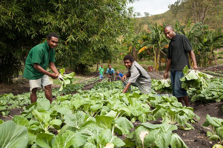 10 Facts On Living Conditions In Papua New Guinea - The Borgen Project