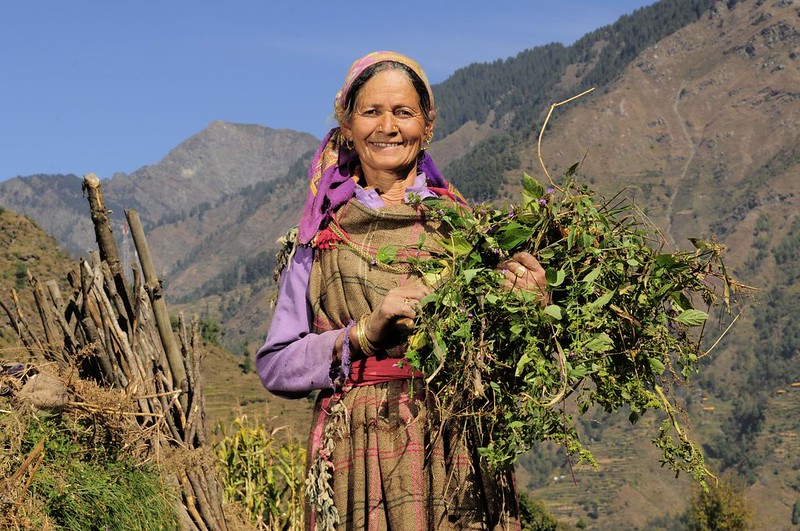 MFIs in India