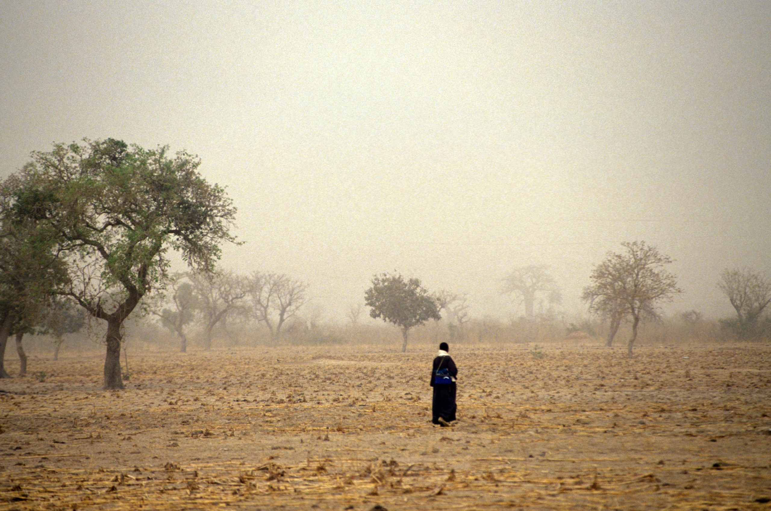 Malian refugees