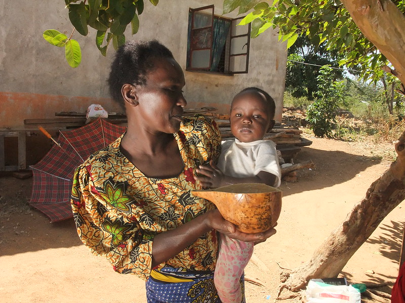 Saving Lives: Tackling Maternal Mortality in sub-Saharan Africa - The ...