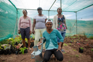 South-East Ladies Agro Collective