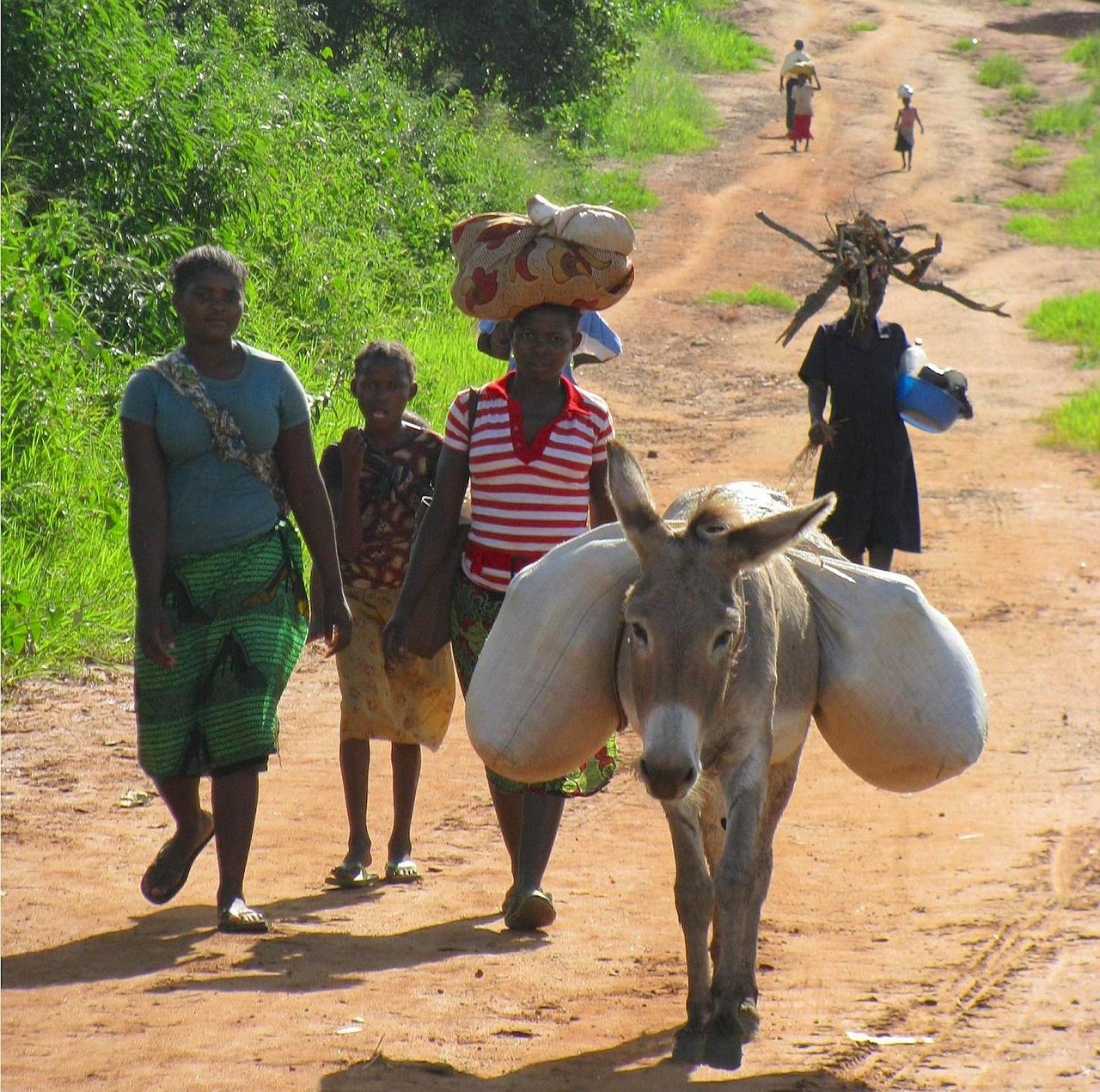 Menstruation in Mozambique