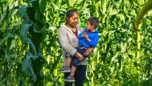 Mexico’s Plant-Food Industry