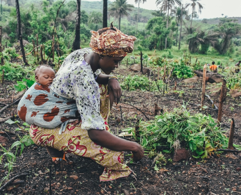 Microfinance: Firms Providing Small Loans to Fight Poverty