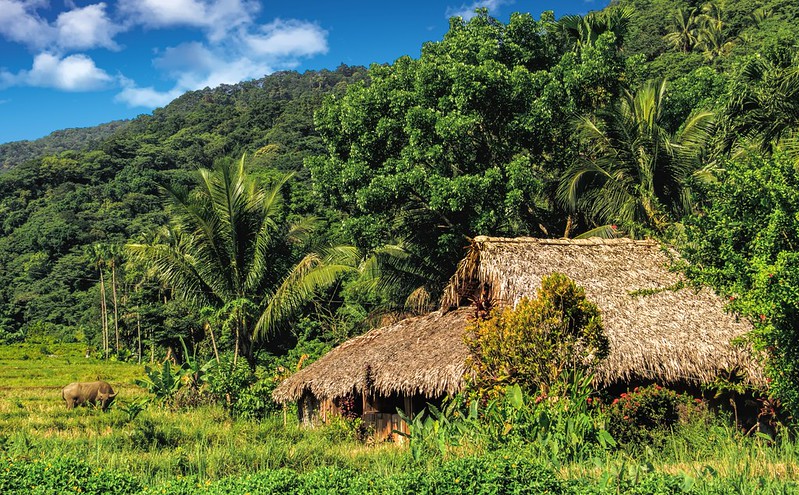 Microfinance in Rural Philippines