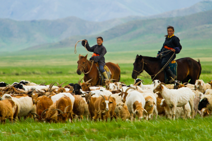 Migration In Mongolia: Movement To Urban Slums - The Borgen Project