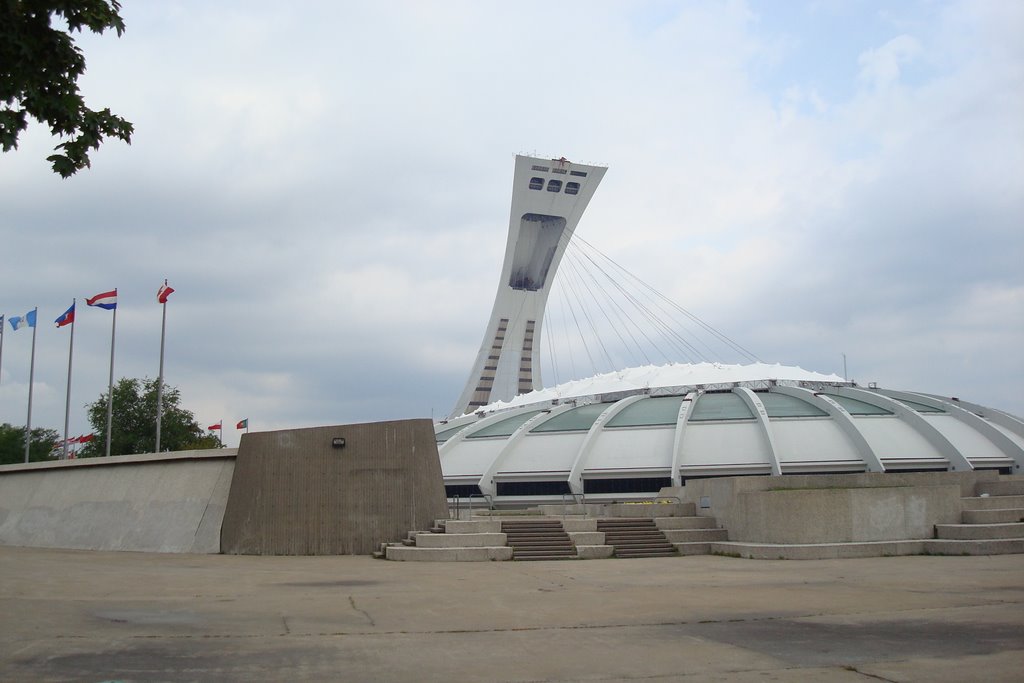 Montreal's Olympic Stadium Welcomes Refugees - The Borgen Project