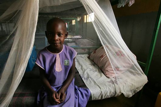 Mosquito nets shop in africa