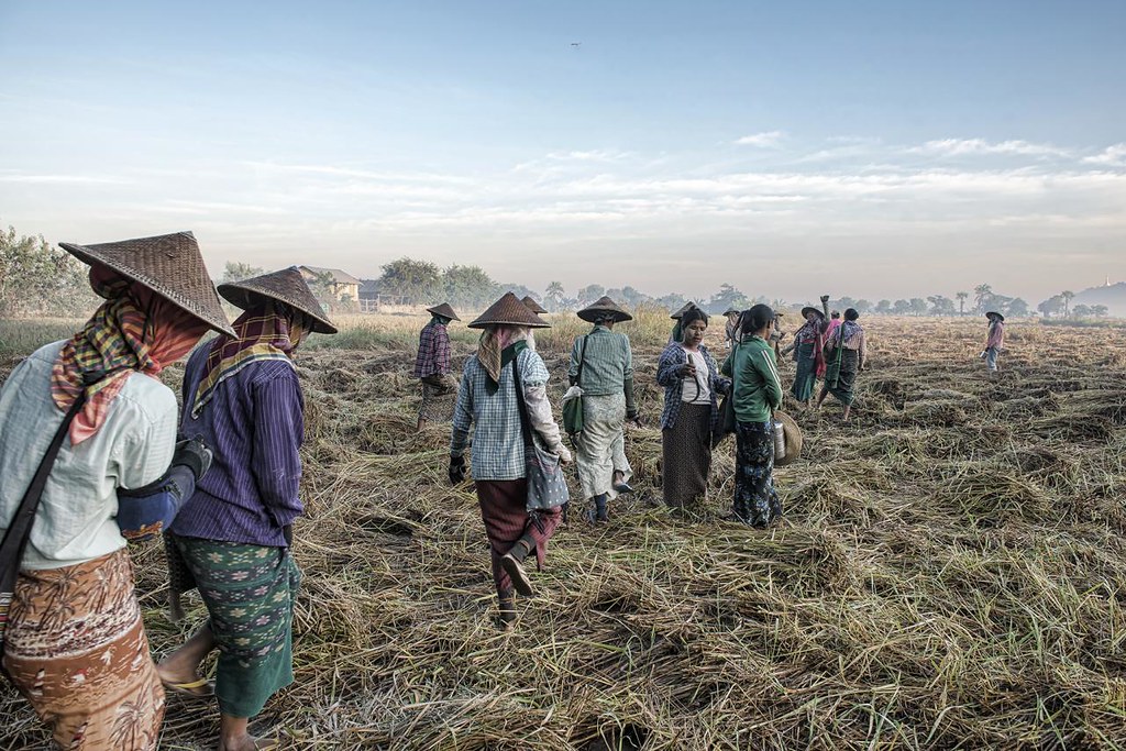 Maasai NGO fighting to protect and profit from community's multi