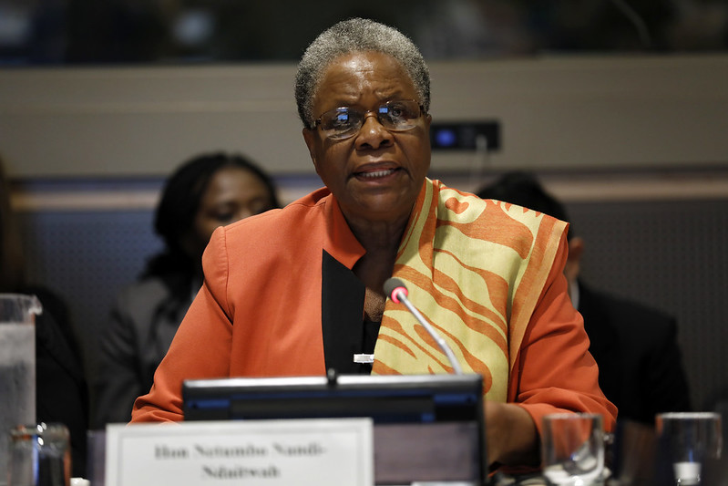 Namibian Politics: First Female President Tackles Inequality 