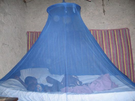 World Centric: Mosquito Nets to Prevent Malaria in Lusaka & Kapiri