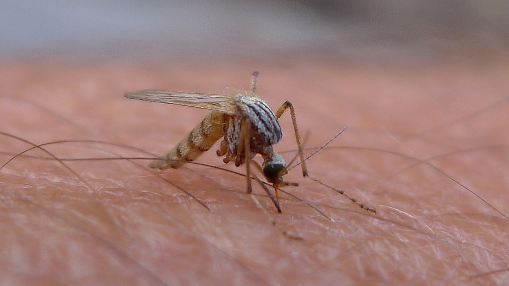 Our Health Reduces Mosquito-Borne Illnesses