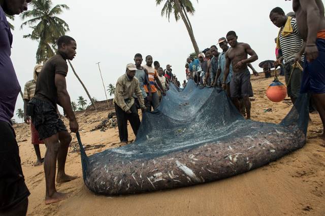 Overfishing in West Africa