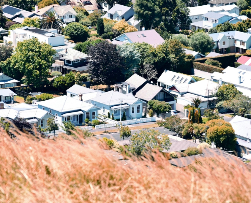 Papatoetoe Food Hub Fights Food Insecurity in South Auckland