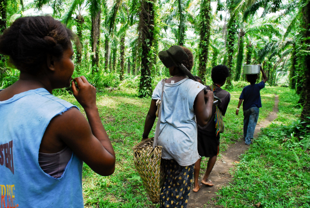 Papua New Guinea’s Rural Highlands
