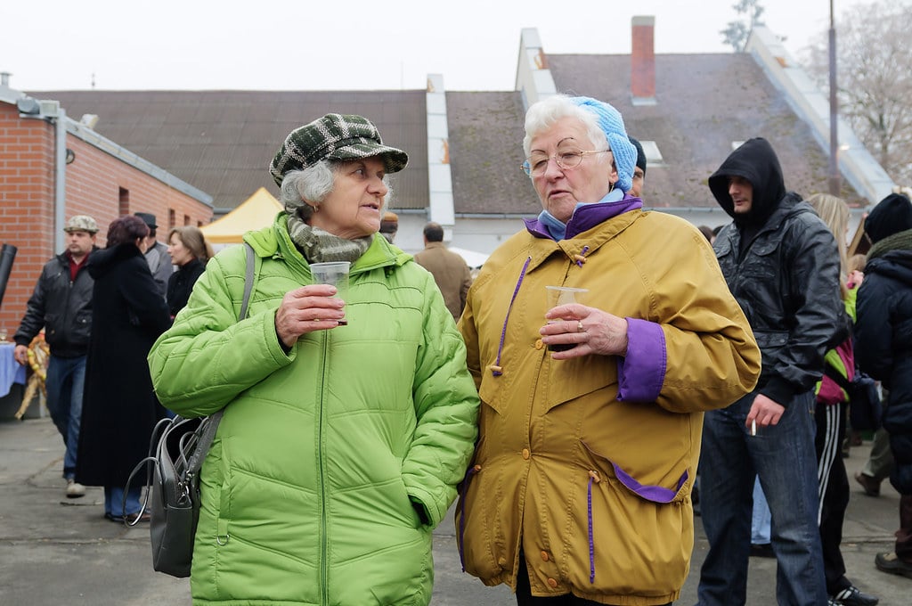 Pensioner Poverty in Hungary