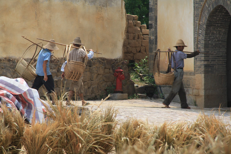 Green Wall of China Combats Poverty