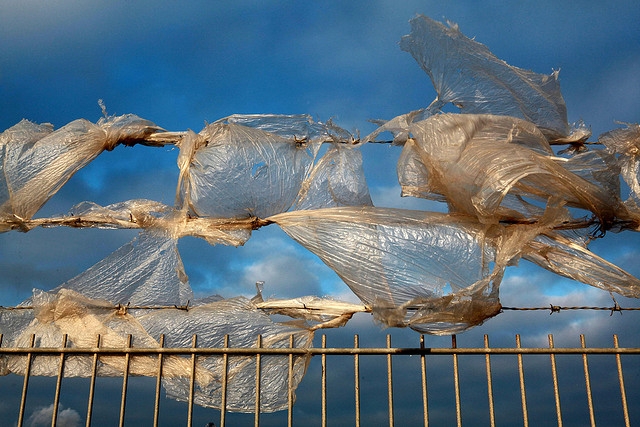 Plastic Waste Action and Poverty in India