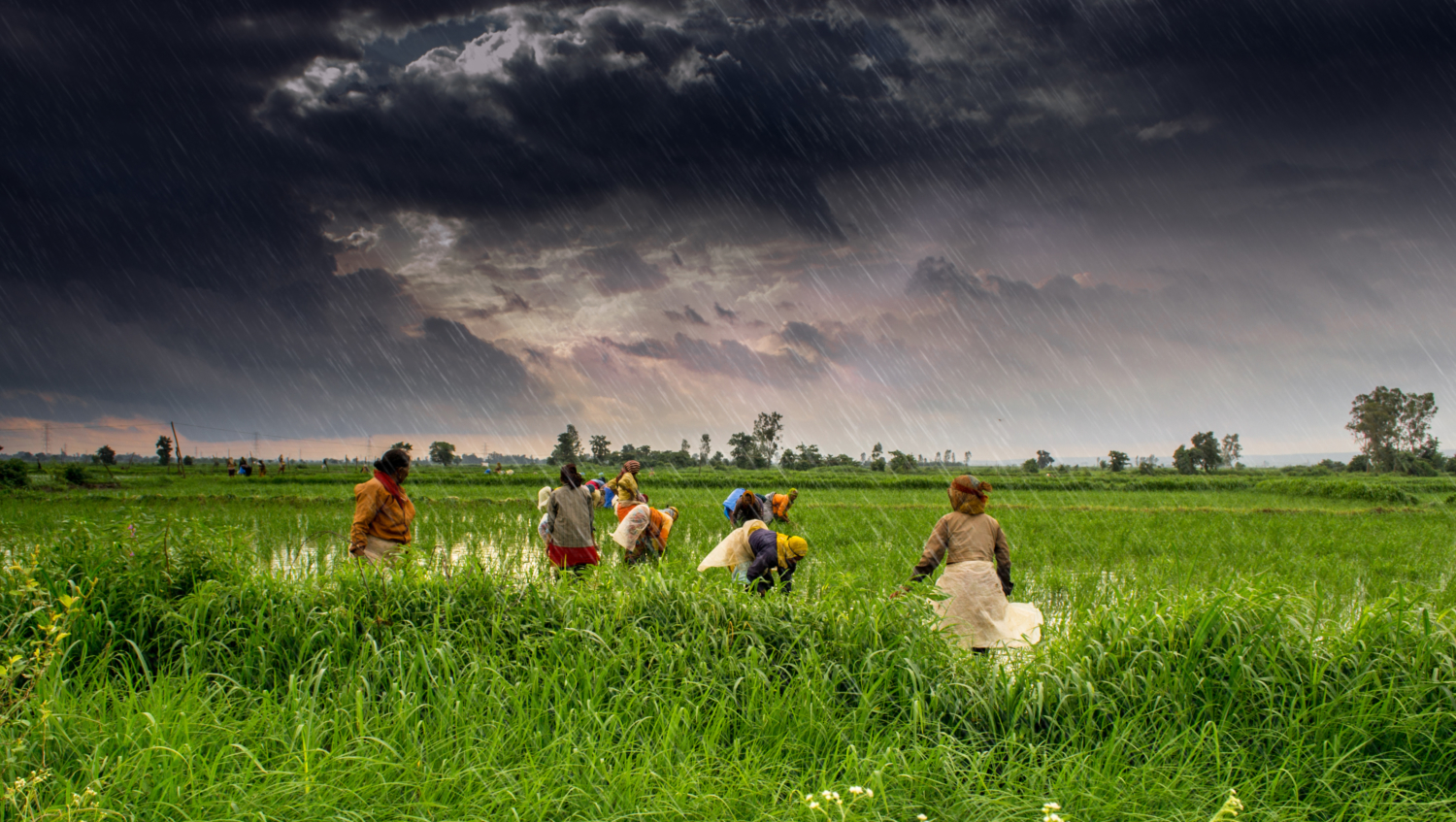 4-poverty-alleviation-schemes-in-india-for-rural-development