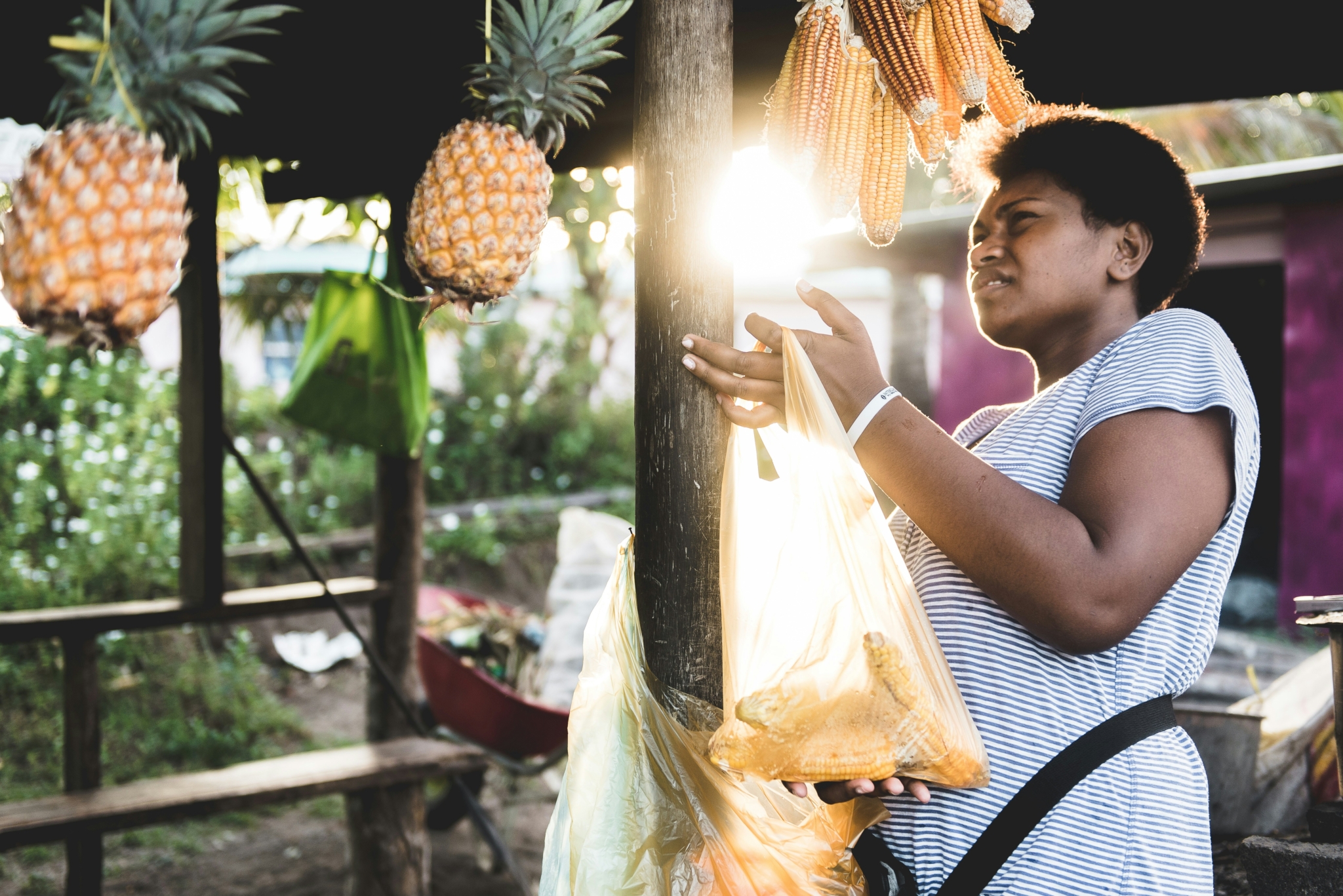 Innovations in Poverty Eradication in Fiji - The Borgen Project