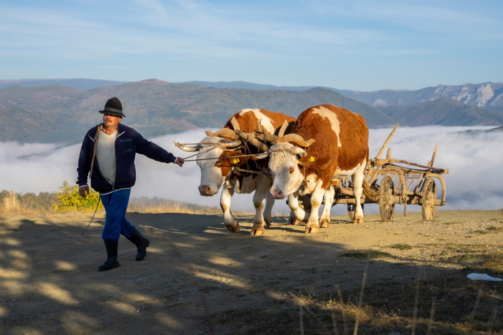 Poverty Eradication in Georgia