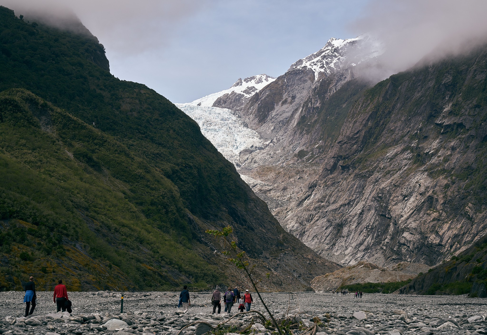 poverty-in-new-zealand-the-borgen-project