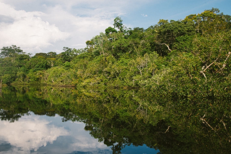 Poverty in the Amazon Rainforest - The Borgen Project