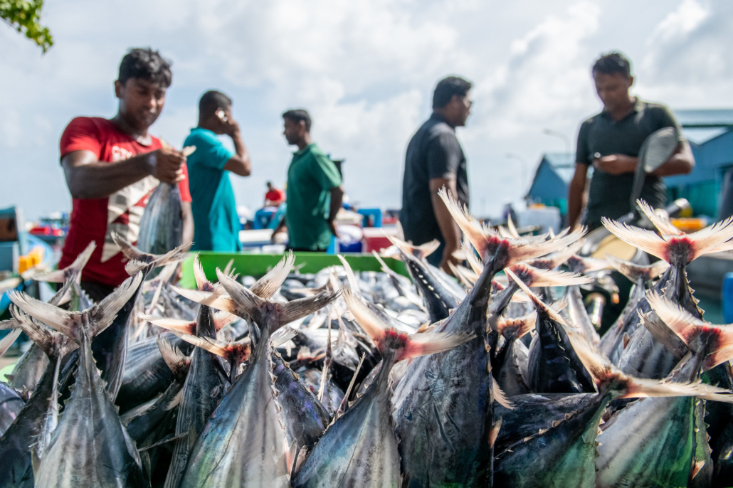 Poverty in the Maldives