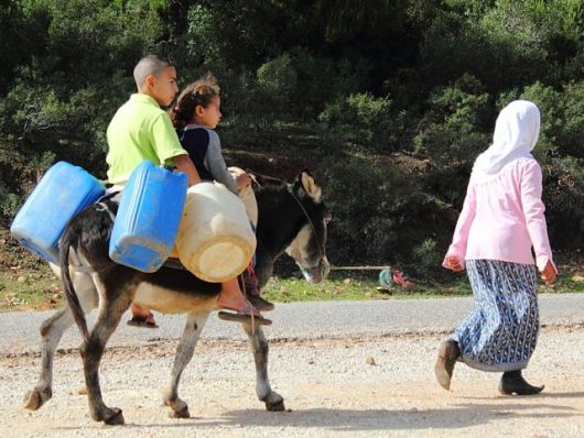 Poverty Rate in Tunisia
