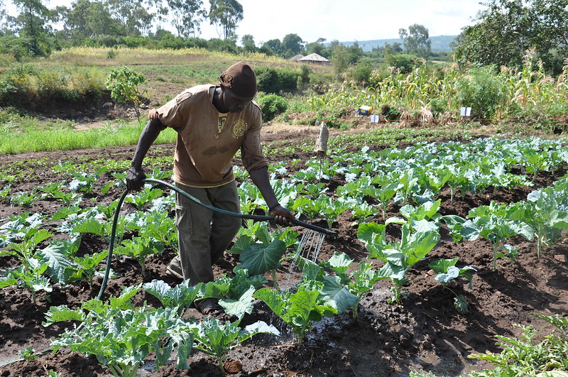 Practical Action Addresses Youth Unemployment in Kenya