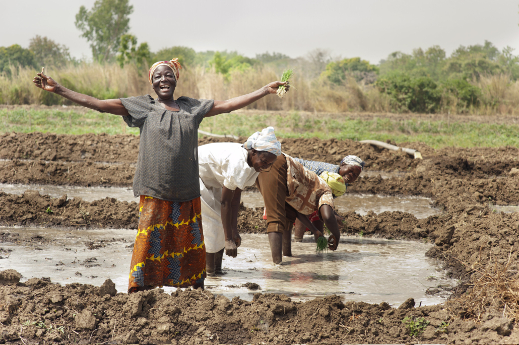 food security in ghana thesis