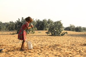 Sécurité alimentaire dans le désert